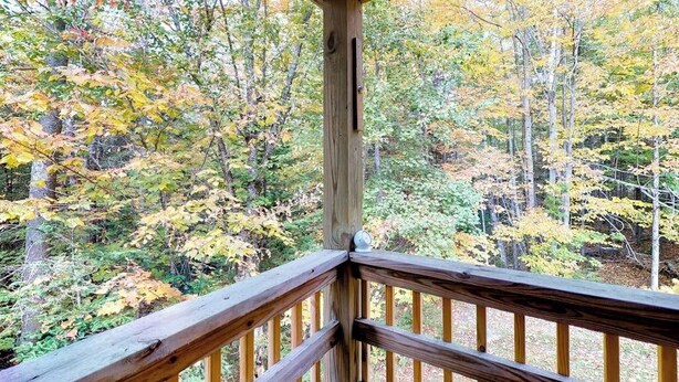 Eine Holzterrasse mit Blick auf ein bewaldetes Gebiet.