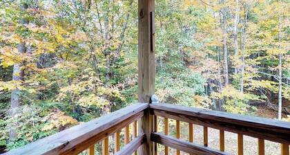 Rustic Cabin Near Boating, Fishing or Hiking to the Lake - Dog-friendly