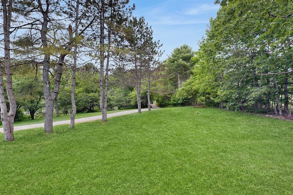 A grassy area with trees and a path.