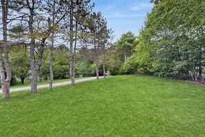 Een gazon met bomen en een pad.