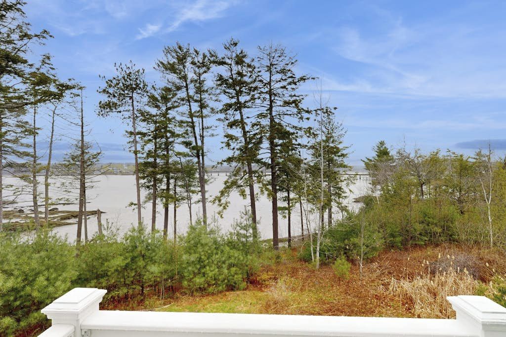 A view of a forested area with tall trees and a body of water in the background.