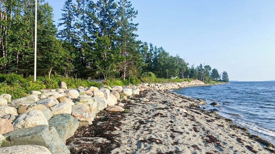 Charming Love Shack With Stunning Seaside Views and all the Comforts of Home