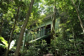 Une cabane dans les arbres avec une façade verte et un escalier en bois.