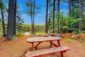 A picnic table in a forested area with tall trees and a clear sky. - Appalachee Pond Waterfront Cottage Decks, Sunroom, Dock With Kayaks & Canoe (Boothbay Harbor)
