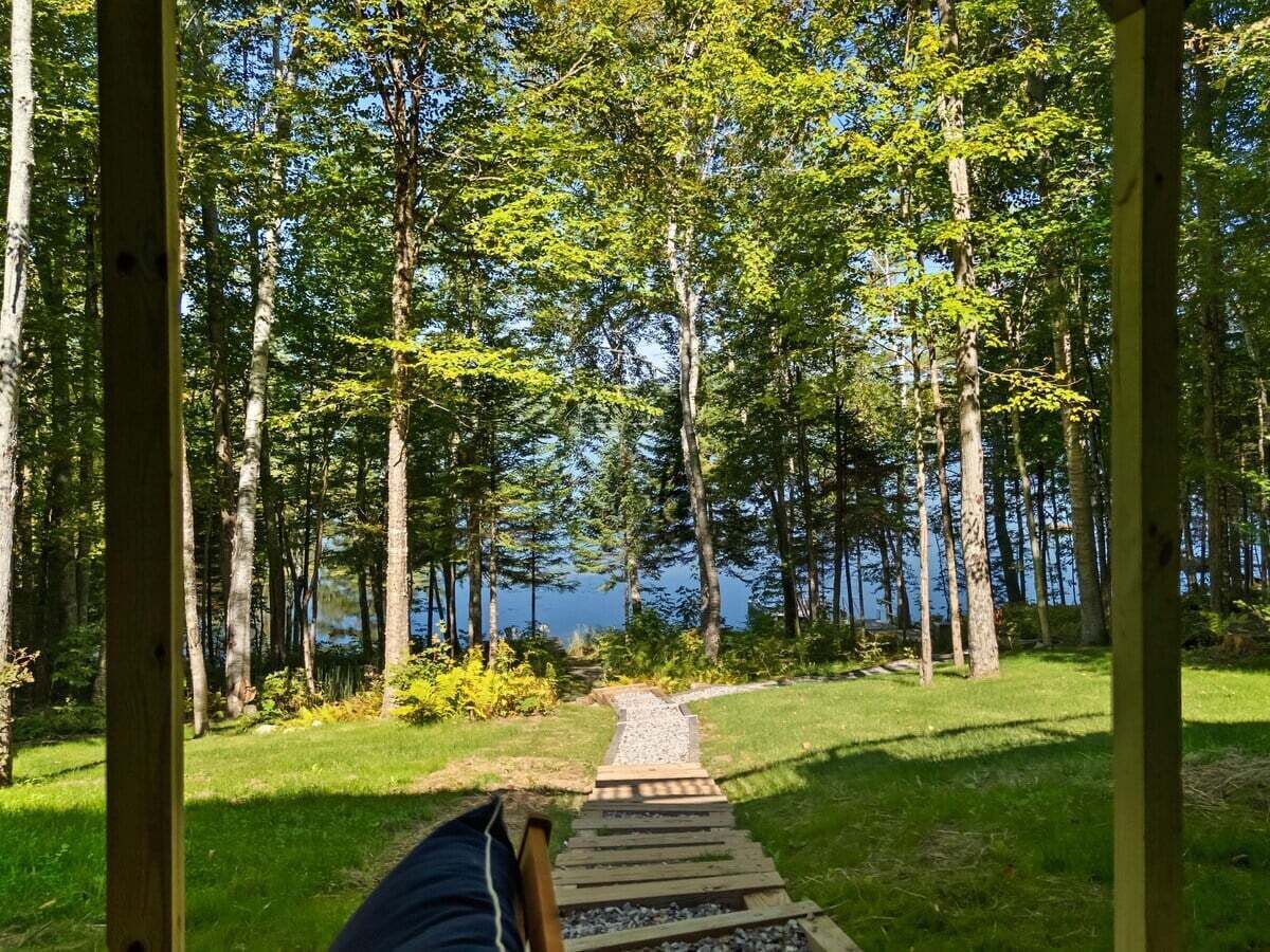 Una terraza de madera que da a un lago, con árboles al fondo.