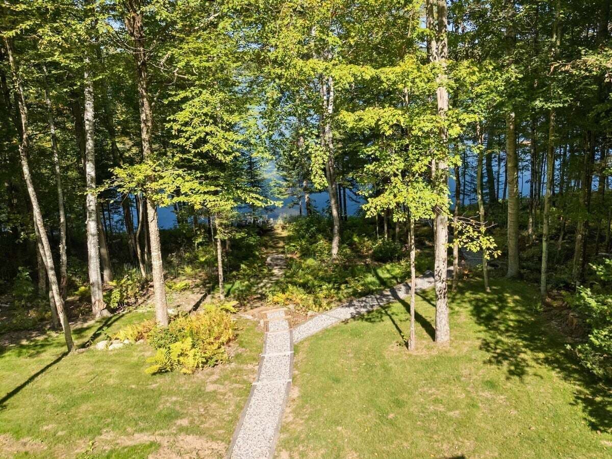 A forested area with a gravel path leading to a structure.
