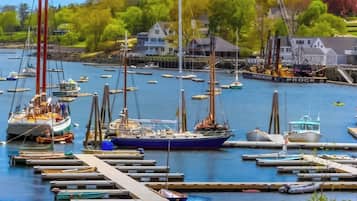 A marina with multiple boats docked, a pier, and houses in the background.