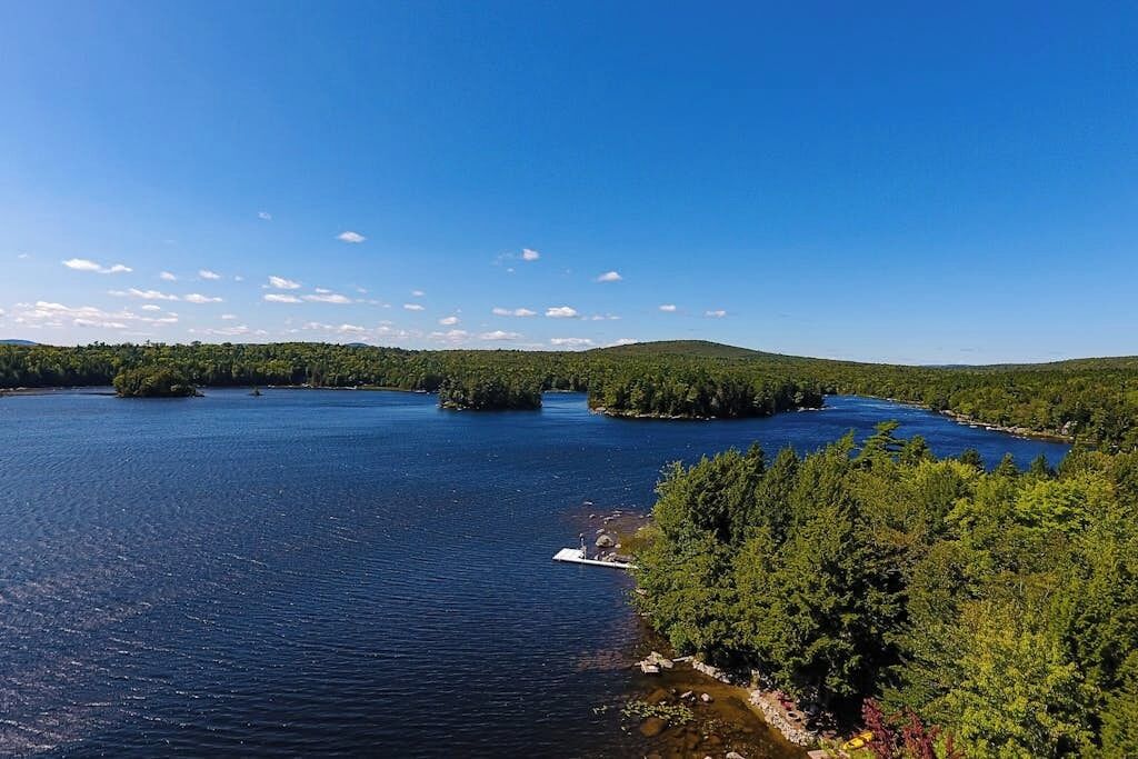 A lake surrounded by dense forest, a small dock, and a clear blue sky.