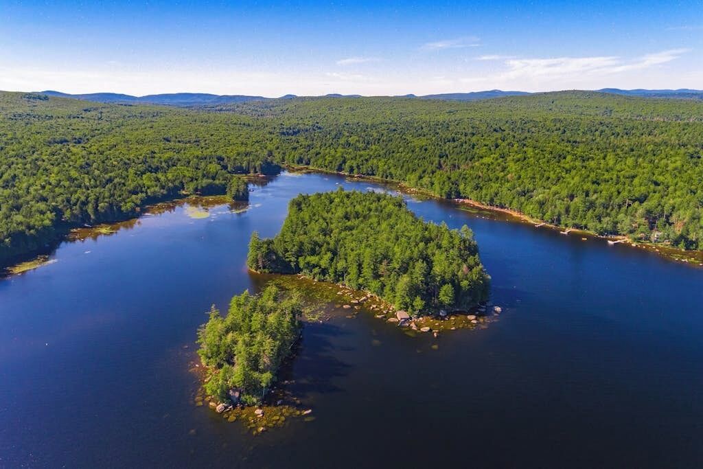An aerial view of a forested area with a lake and a small island.