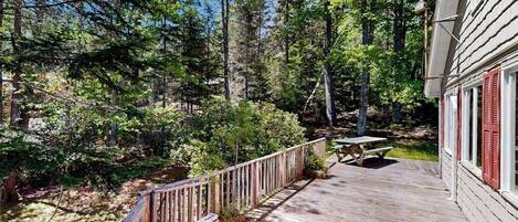 A wooden deck with a picnic table, surrounded by dense forest.
