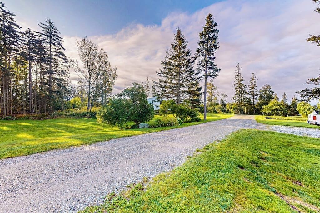 A gravel path leading through a forested area with a small white building in the distance.