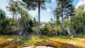A forested area with a house surrounded by tall trees and a rocky foreground. - Dog-friendly, Bayfront Home W/rocky Beach, Full Kitchen, Washer/dryer & Firepit (Gouldsboro)