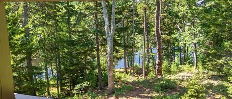 A wooden deck with a view of a forested area and a body of water.