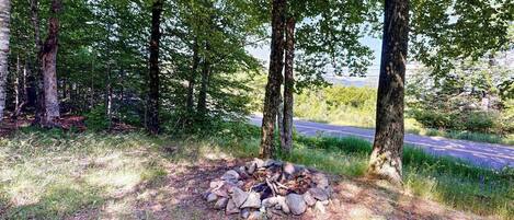 A natural outdoor setting with a fire pit surrounded by rocks, trees, and a road in the background.