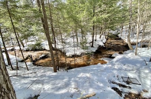 Zona boscosa con un arroyo y suelo cubierto de nieve.