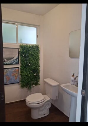 Dusche, Handtücher, Seife, Toilettenpapier