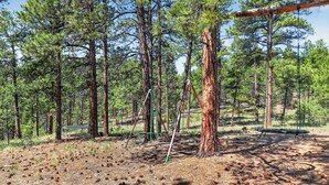 A forested area with a hammock and a bench.