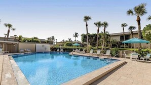Ein rechteckiger Pool mit klarem, blauem Wasser, umgeben von Liegestühlen und Palmen.