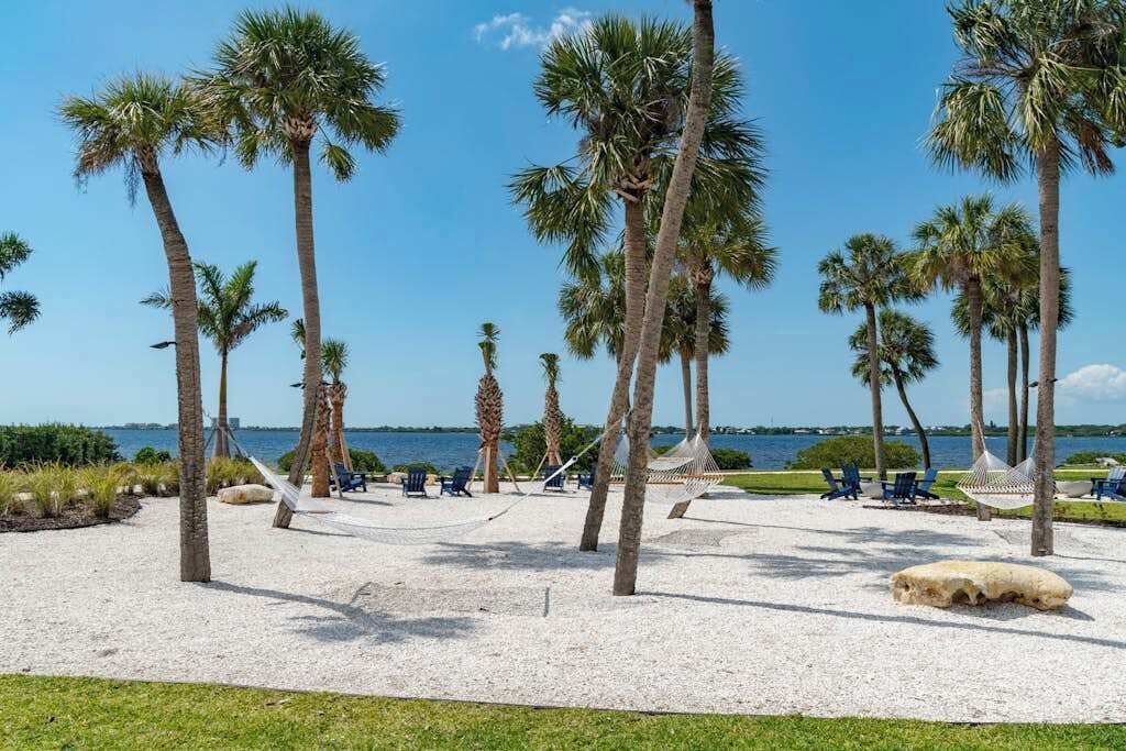 Zona de playa con palmeras, una hamaca y sillas de playa.