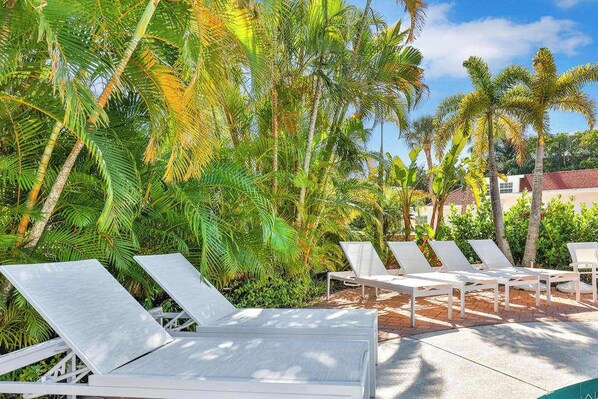 A poolside area with lounge chairs and palm trees. - Freshly Remodeled Island Suite w Pool & Pet Friendly (Anna Maria)