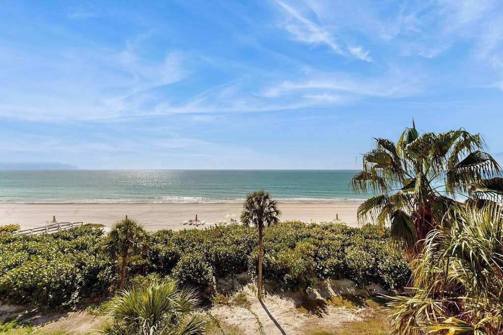 Vista de una playa con palmeras, cielo despejado y orilla arenosa.