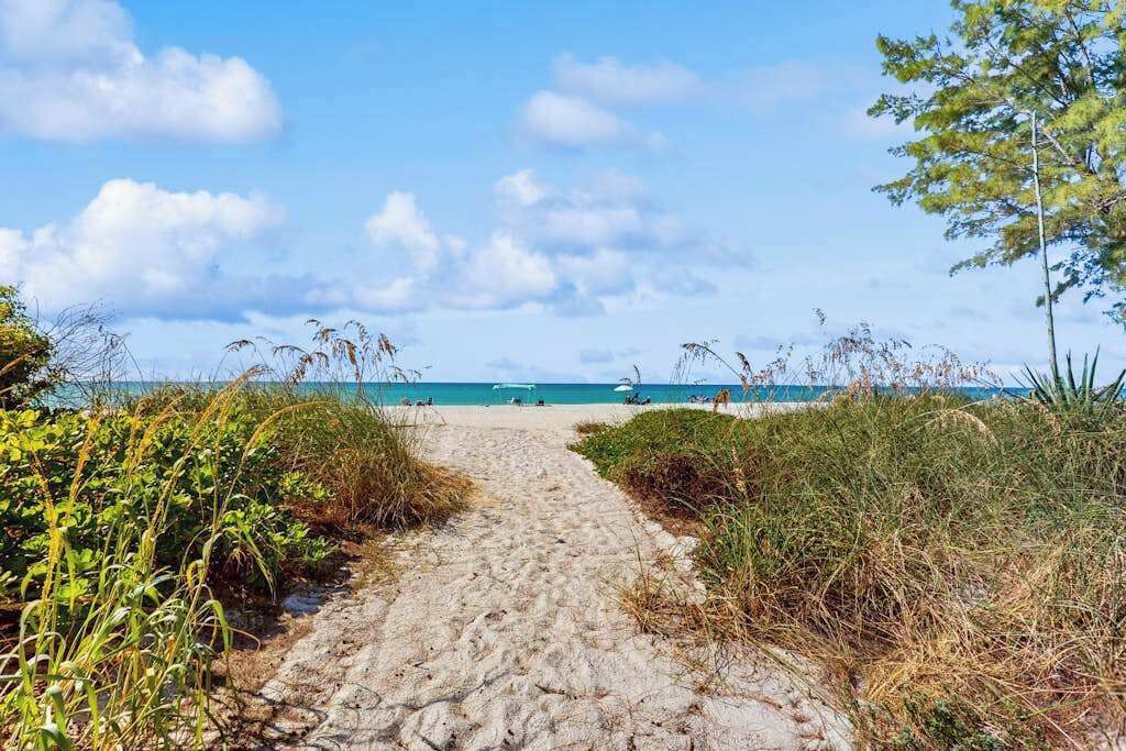 Un sentier sablonneux menant à une plage, avec un ciel dégagé et une végétation clairsemée.