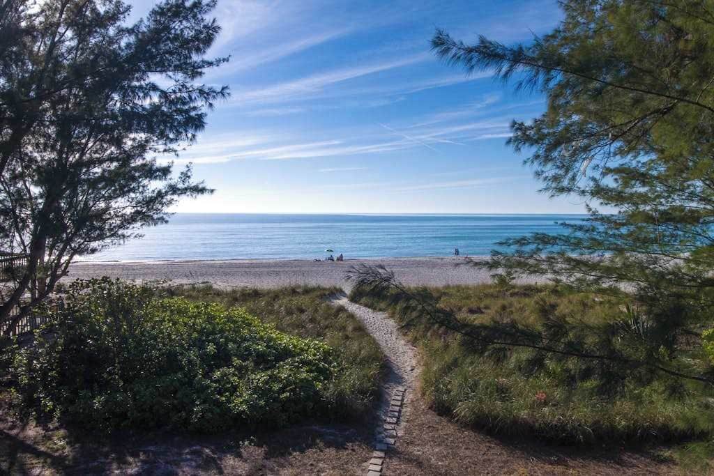 A beach path leading to the ocean with clear skies.