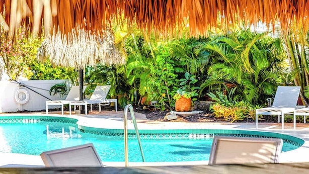 Un'area piscina con lettini, un tetto di paglia e vegetazione rigogliosa.