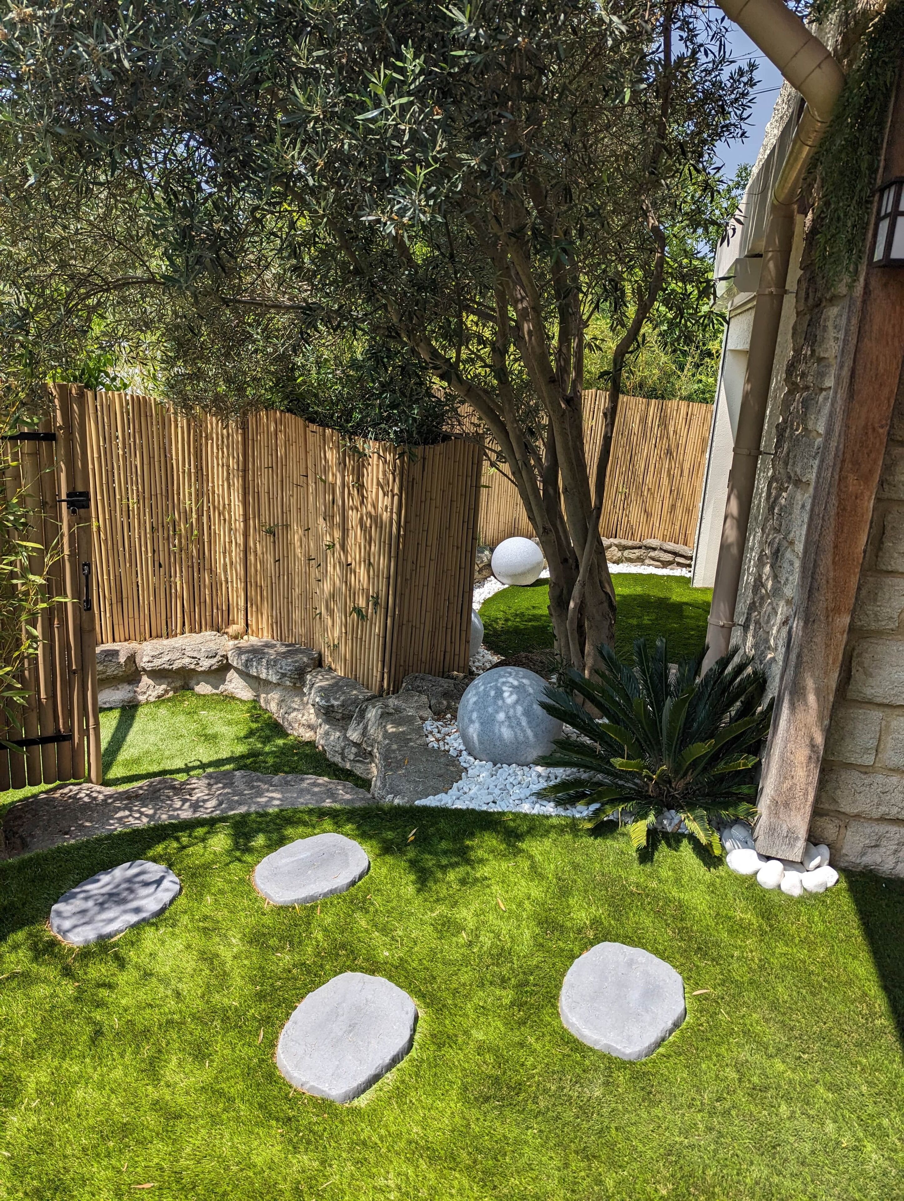 Un jardín con cerca de bamb ú, un árbol y piedras que forman un sendero sobre el césped.