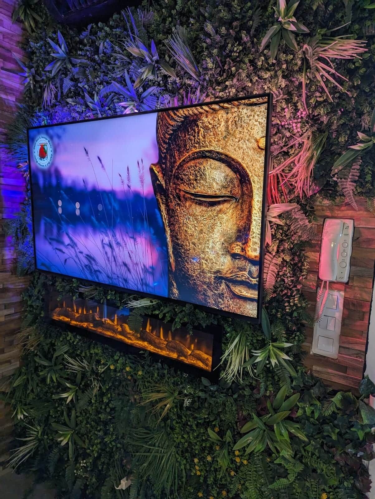 Un televisor montado en la pared, junto a una estatua de Buda y un arreglo decorativo de plantas.