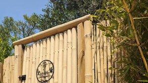 A bamboo fence with a circular emblem and a Buddha statue.