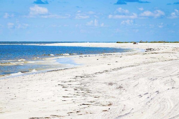 Beach nearby - Dog-friendly, renovated duplex with full kitchen, patio, central AC, gas grill (Sarasota)