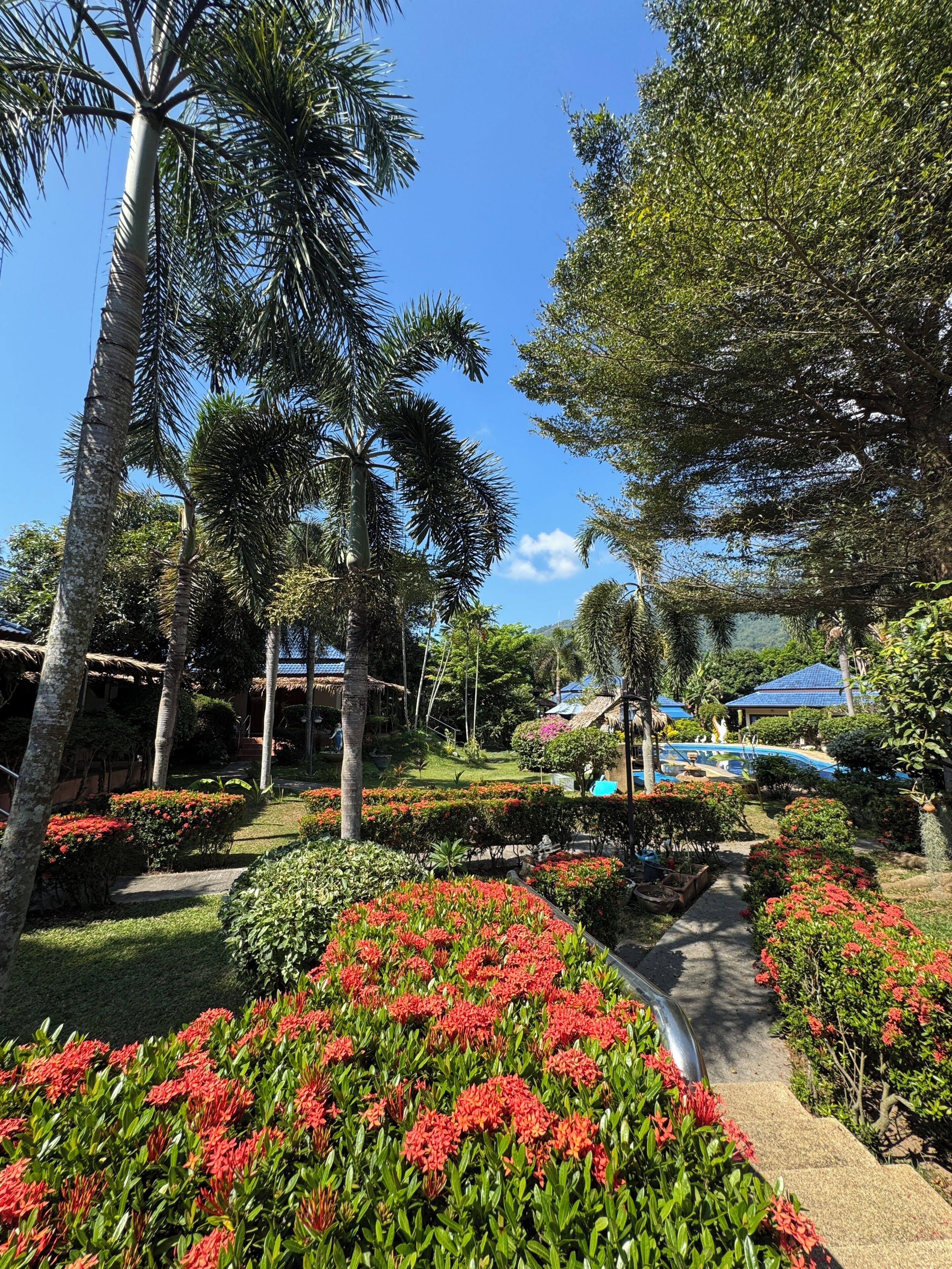 Jardines del alojamiento