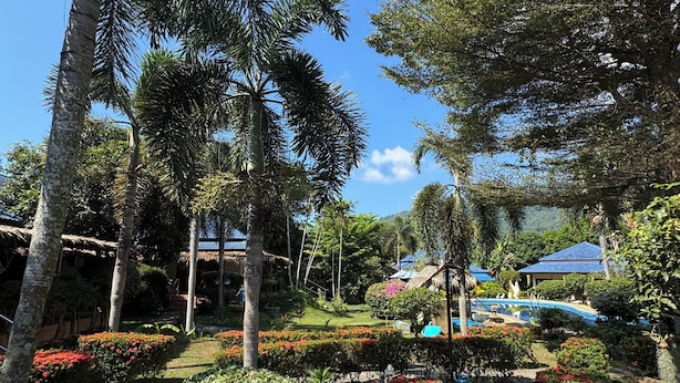 Un jardín tropical con palmeras, una piscina y un camino.