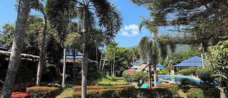 A tropical garden with palm trees, a swimming pool, and a pathway.