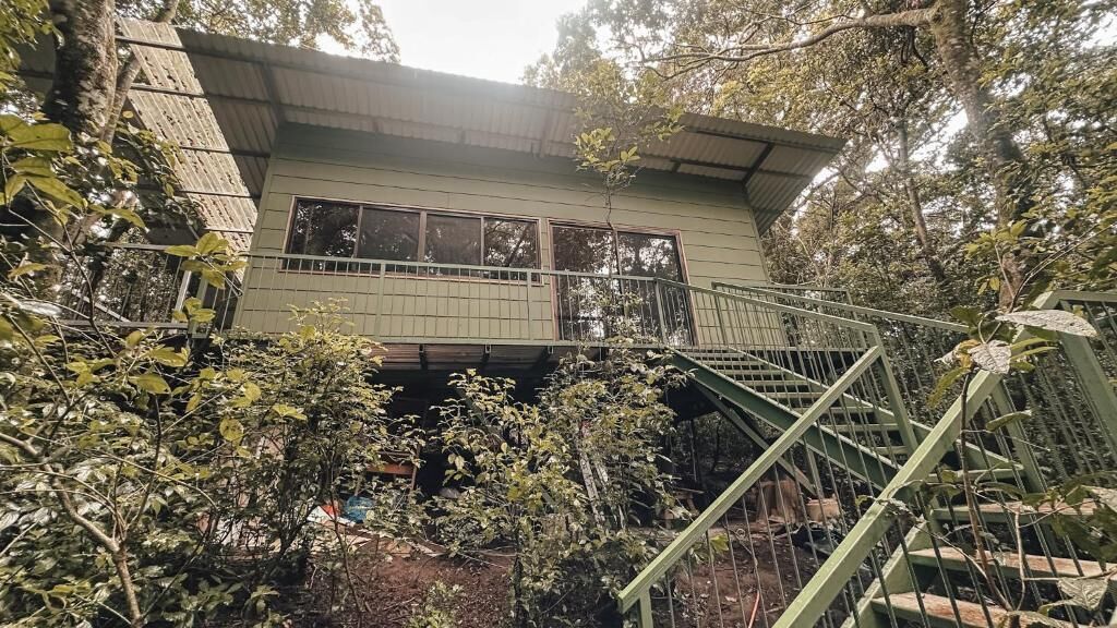 Familien-Baumhaus, Balkon, Bergblick | Außenbereich