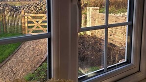 A window with a view of a rural landscape, including a stone wall, wooden fence, and trees.
