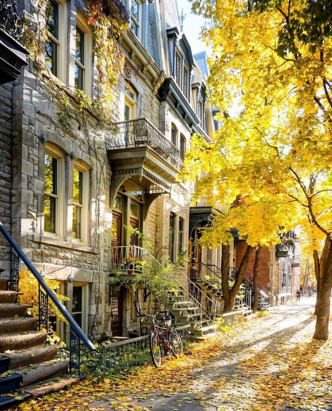 A row of historic stone buildings with ornate balconies and a tree with yellow leaves in the foreground.
