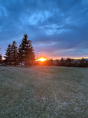 Ein Sonnenuntergang über einem Wiesenfeld mit Bäumen und einem entfernten Gebäude.