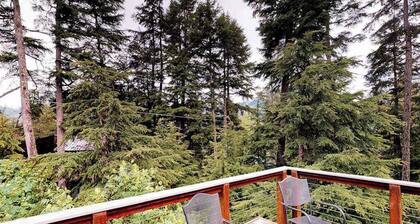 Christina Cabin | Tucked A-Frame | Hot Tub