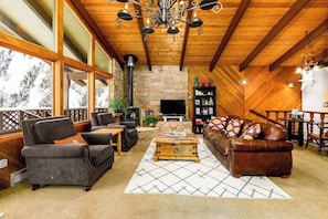TV, fireplace, DVD player, foosball