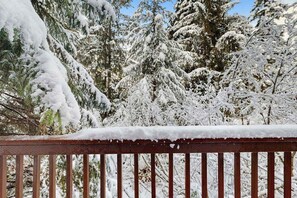 Property grounds - First Tracks Chalet | Renovated Base Condo (Girdwood)