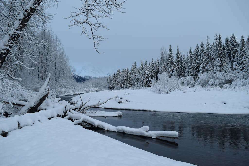 Un paysage enneigé avec une rivière, des arbres et une montagne en arrière-plan.