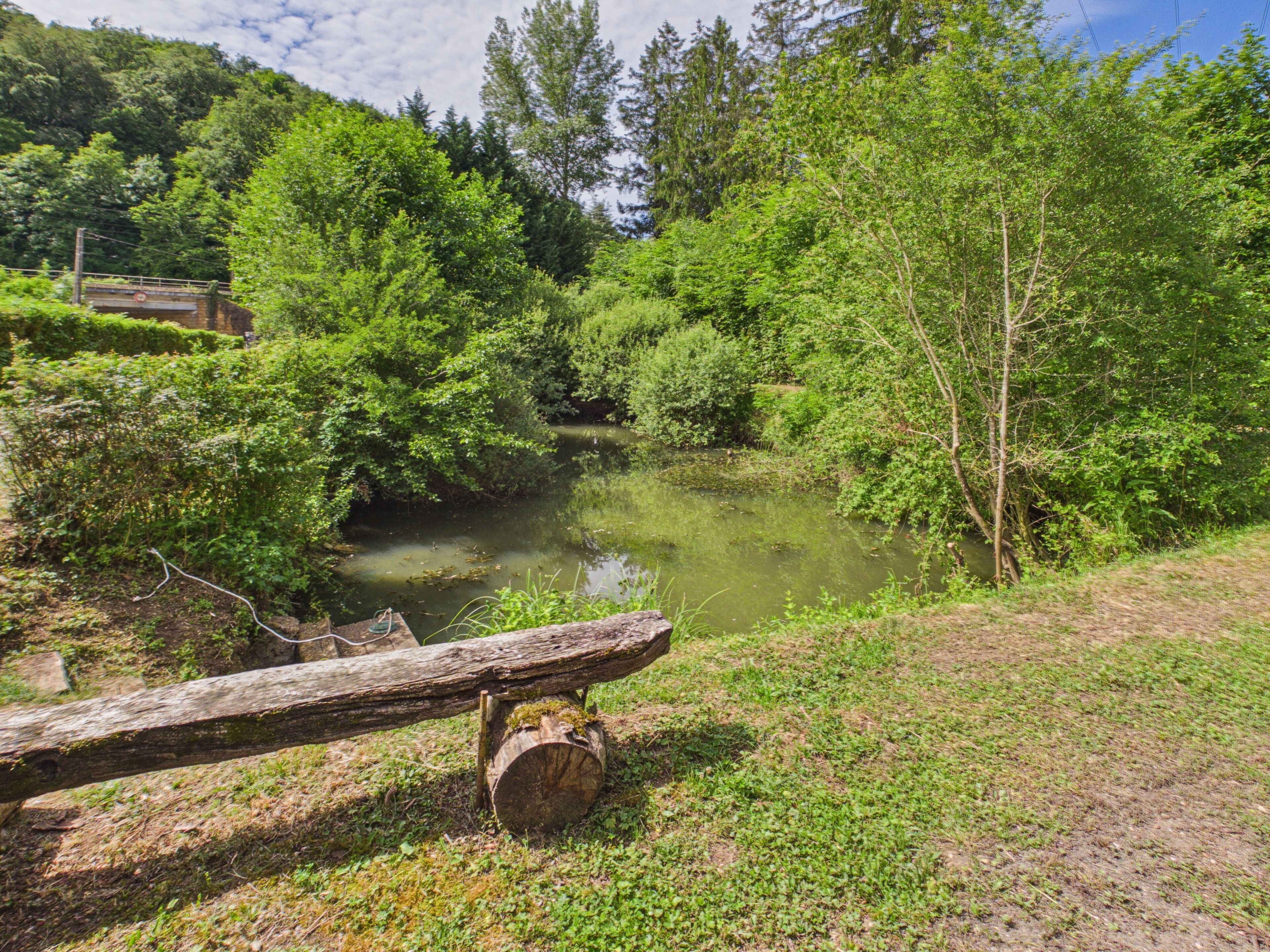 A natural landscape with a pond, dense greenery, and a wooden structure.