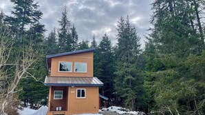 Une cabane en bois à deux étages, surmontée d’un toit en métal, entourée d’une forêt dense.