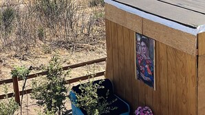 Una caseta de fusta amb un panell solar, una jardiniera blava amb plantes verdes i una bossa de brossa negra al terra.
