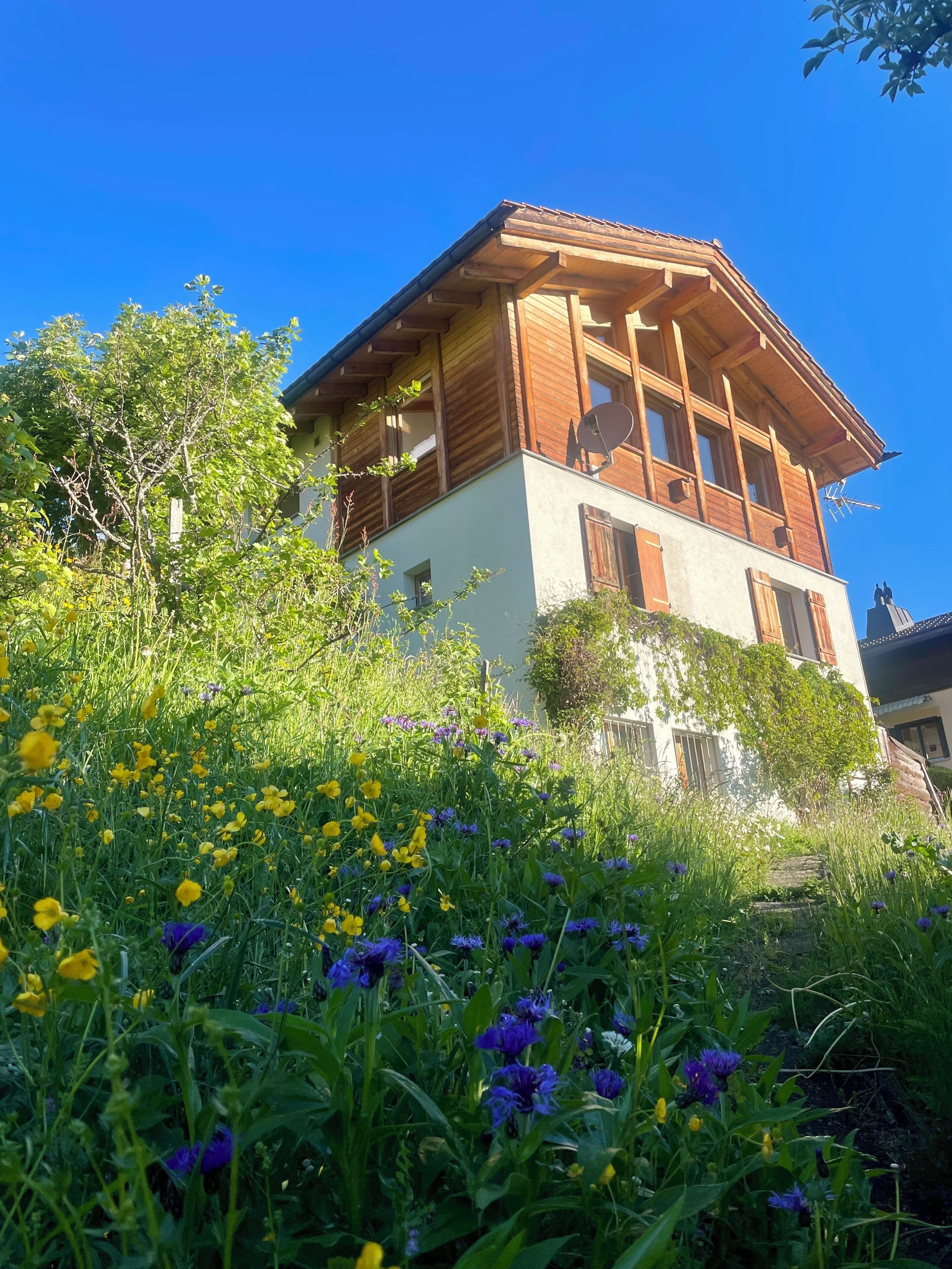 Charming chalet with hillside wildflowers and stunning alpine appeal