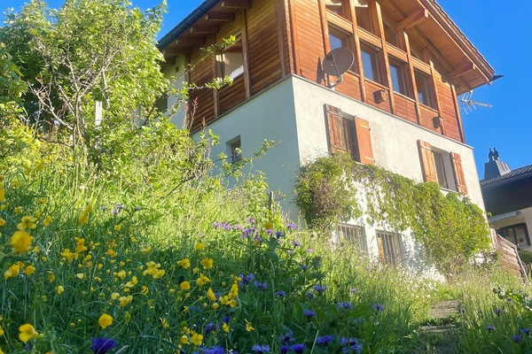 Charming chalet with hillside wildflowers and stunning alpine appeal