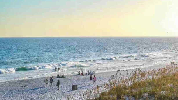 Beach - Belmont King Studio - Walk Everywhere - Pet Friendly (Pensacola)