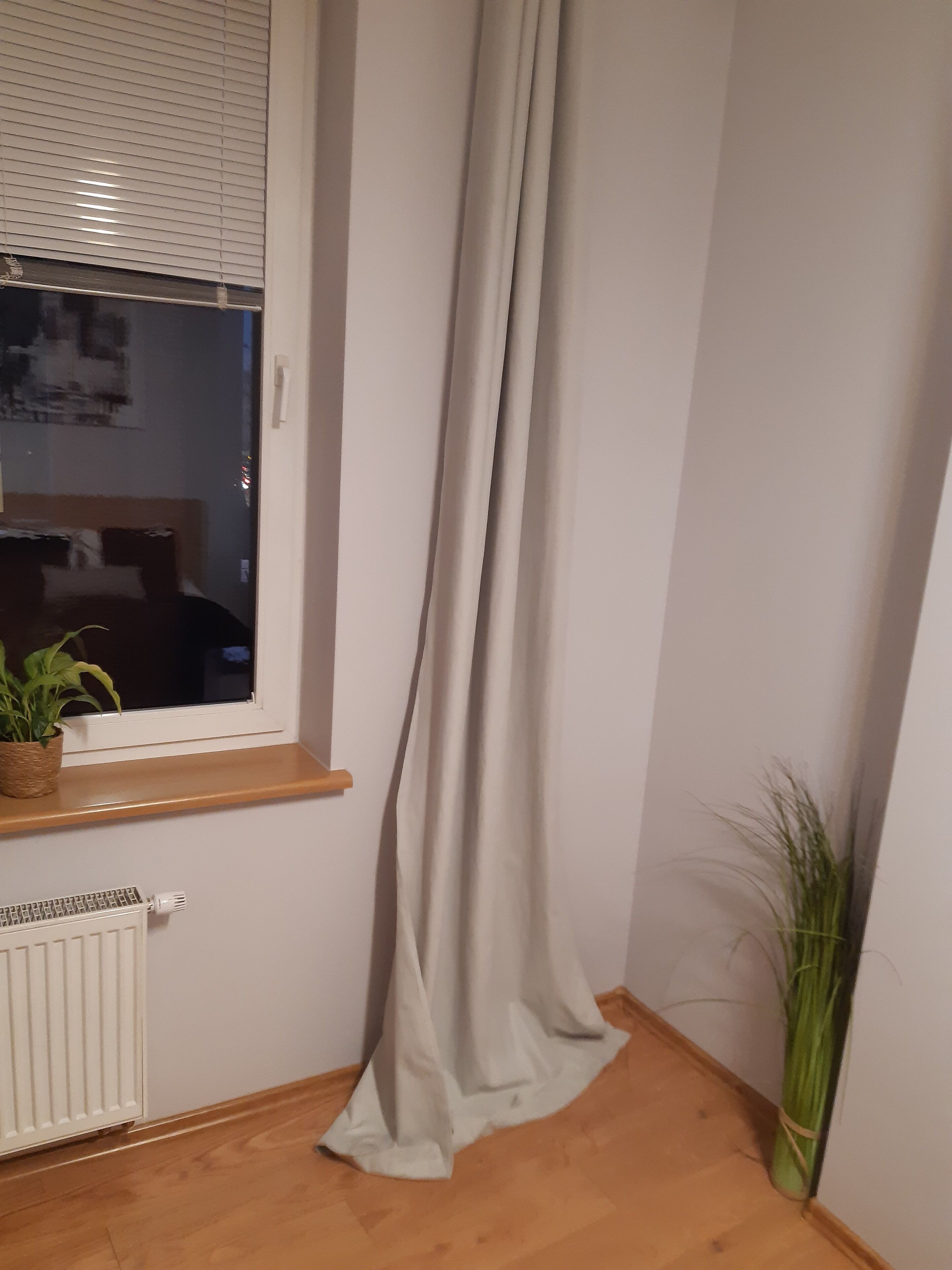 A room with a window, a radiator, a wooden floor, and a potted plant.